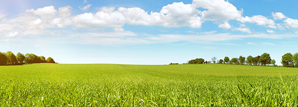 Image d'un champ agricole avec du soleil et quelques nuages.