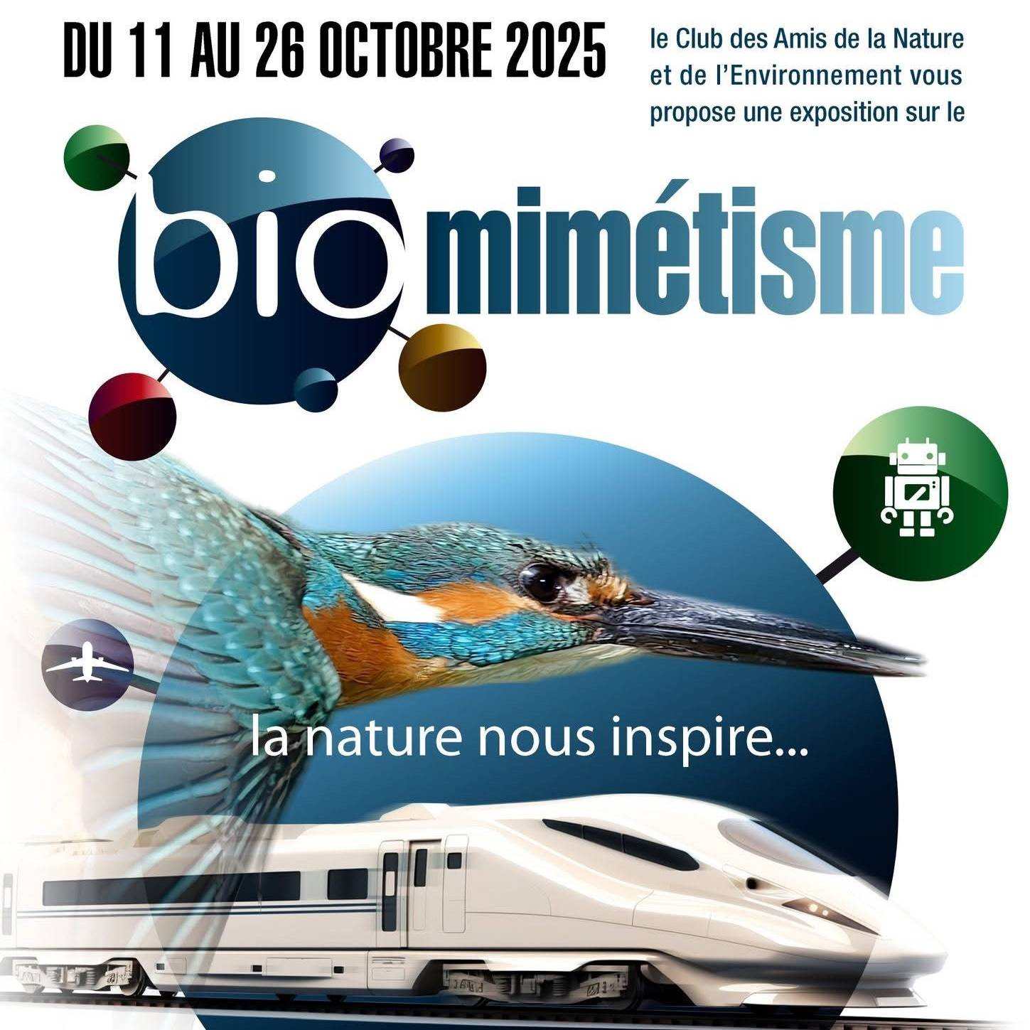 Une exposition de découverte