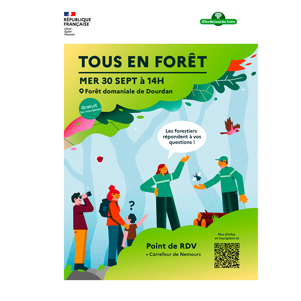 À la découverte de nos forêts