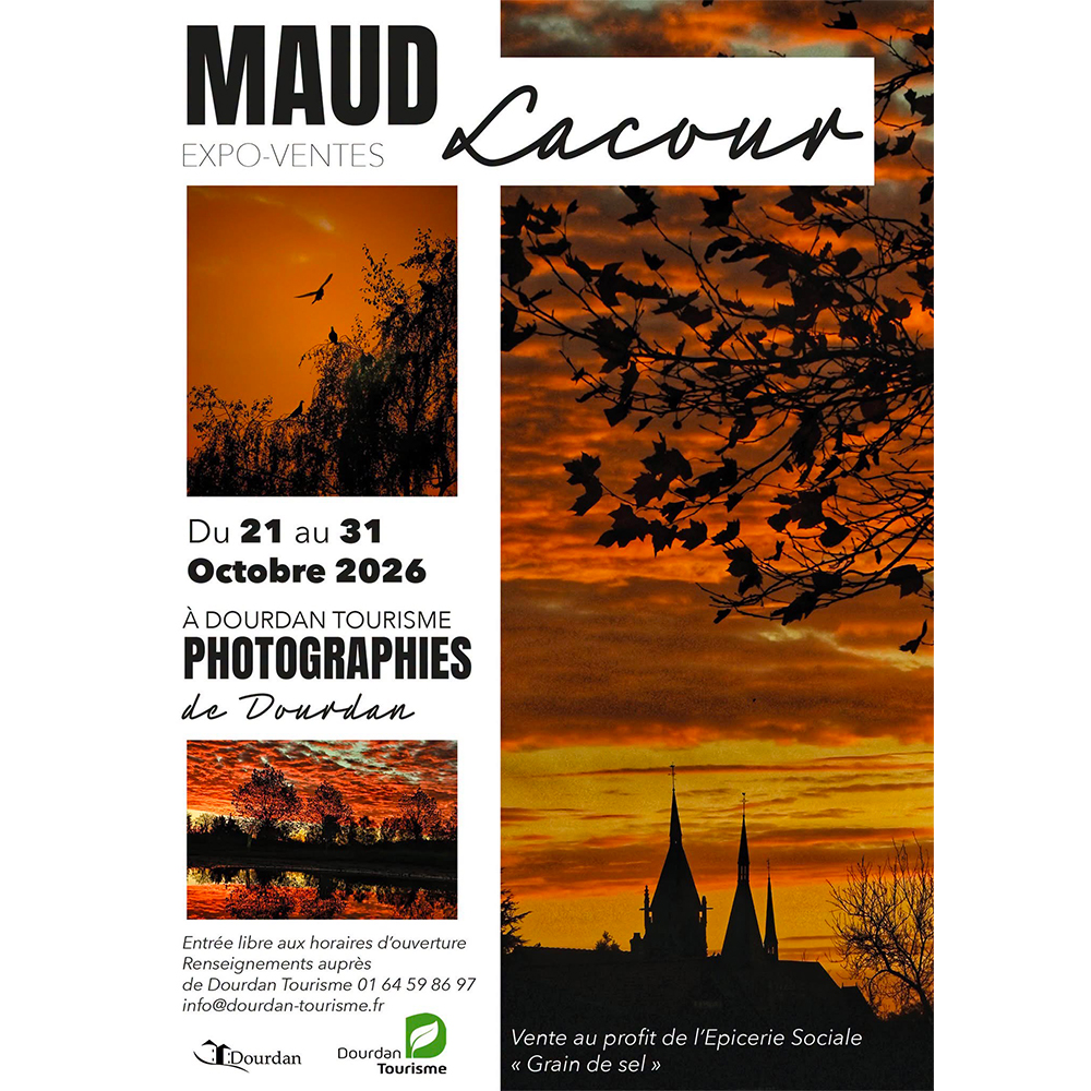 Regard artistique sur Dourdan